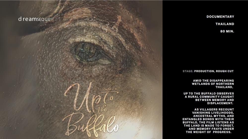 「永續未來獎」得獎作品《Up to the Buffalo》.jpeg