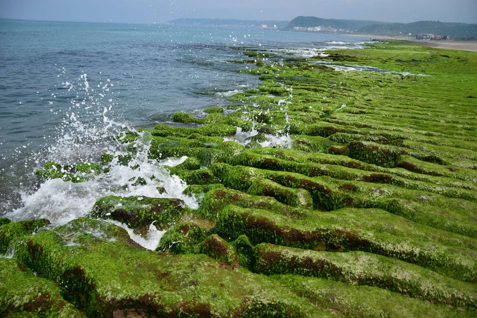 會勘老梅綠石槽岸際狀況.jpg