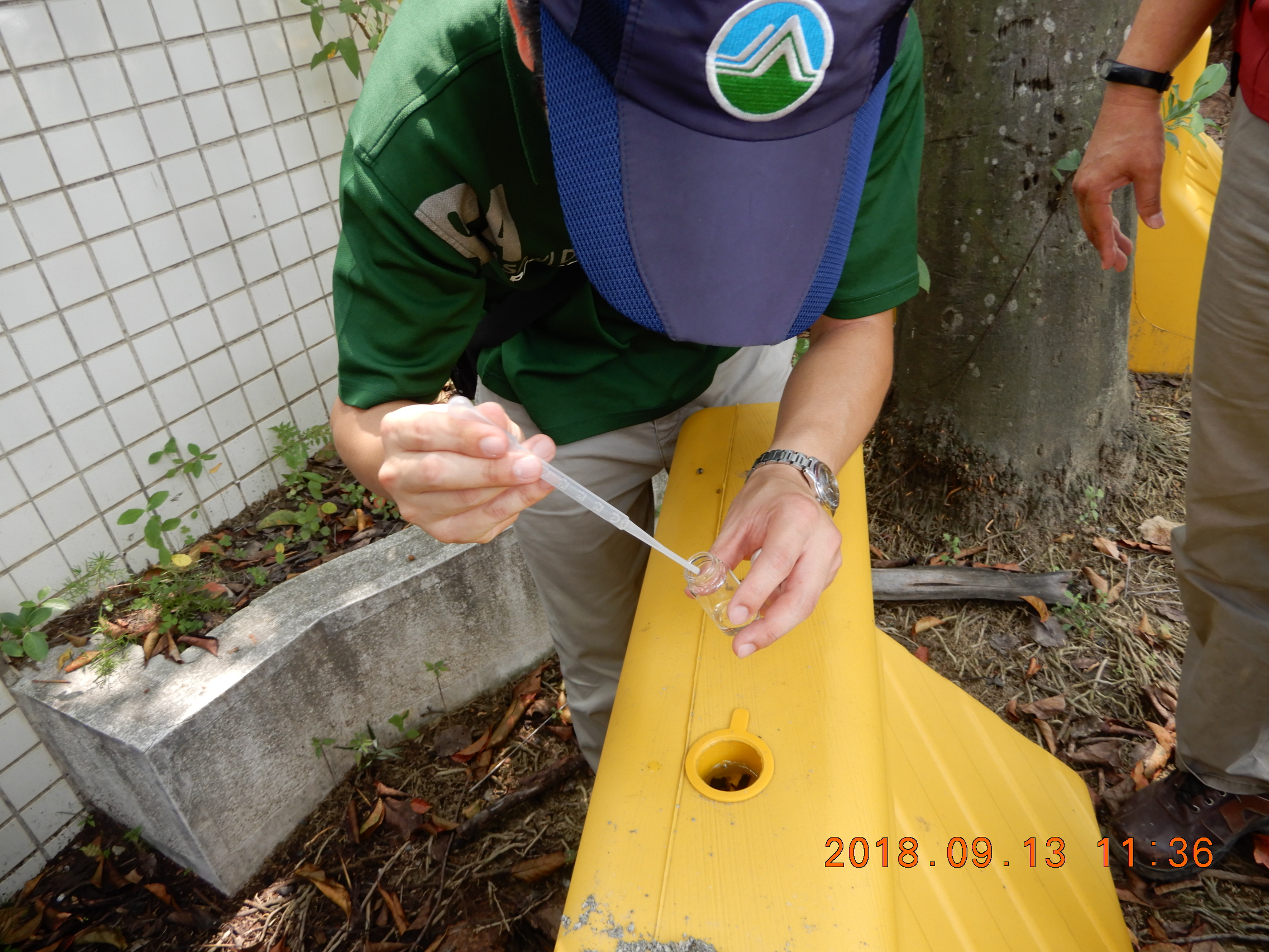 孳生源樣態（工地紐澤西護欄凹槽）.JPG