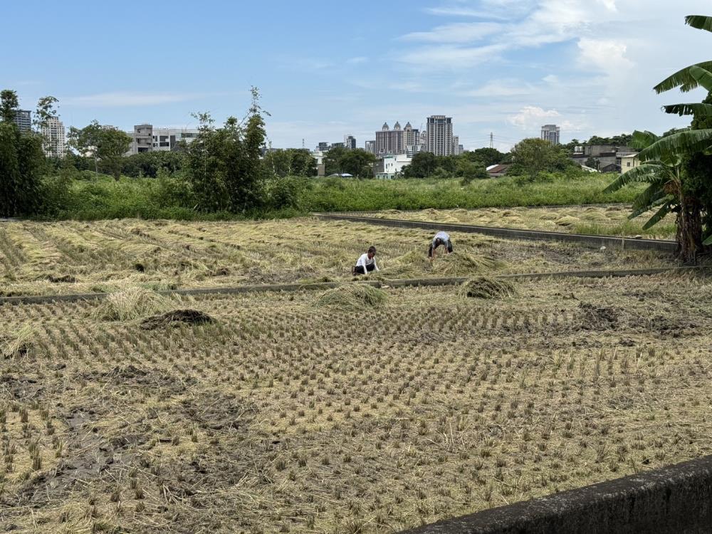 環境部7月31日協助環保局辦理作物剷除作業.jpg