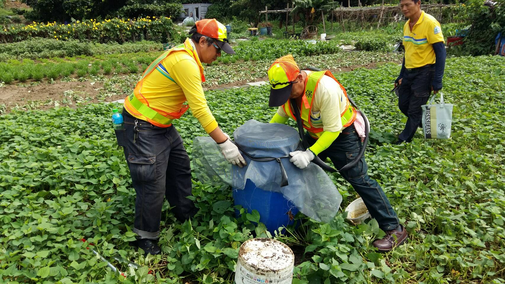 都市農園儲水容器加掛細網-臺北市政府環保局提供.jpg